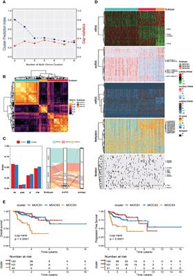 Identification and verification of prognostic cancer subtype based on multi-omics analysis for kidney renal papillary cell carcinoma